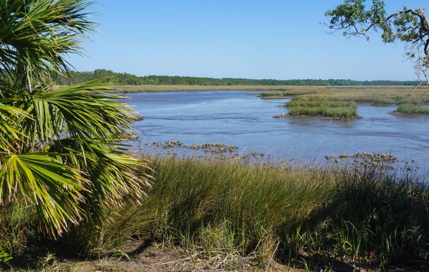 Pumpkin Hill Creek, Florida, USA